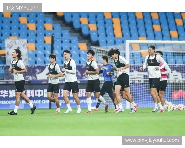 2016年辽宁足球队阵容分析与球员表现评估